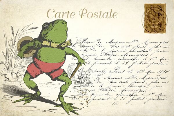 Frog Vintage Postcard 1552213034Rpt